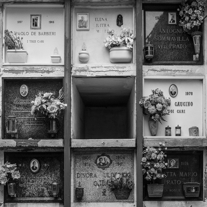 Cementerio │Imagen tomada de: Pixabay