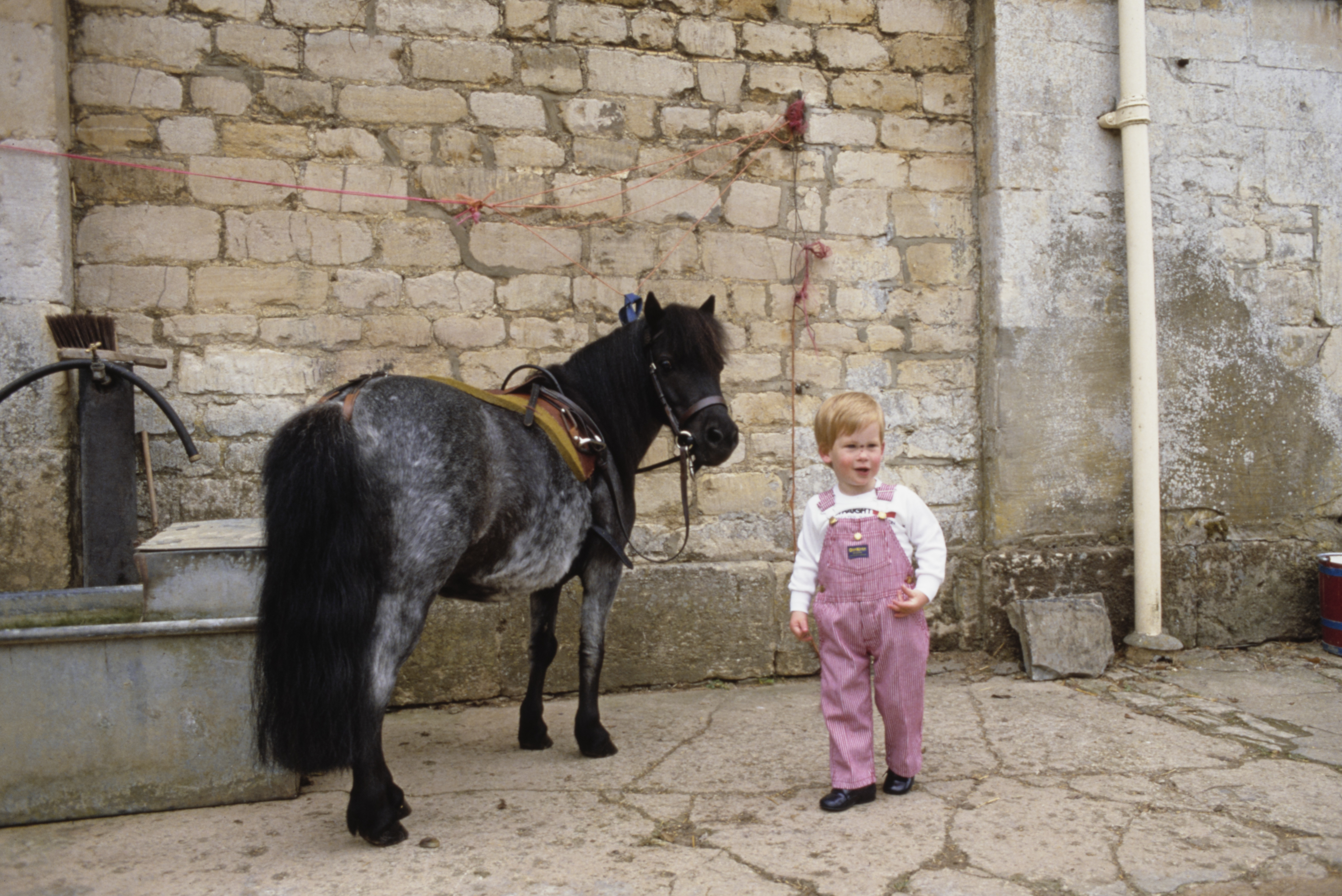 El príncipe Harry en los terrenos de Highgrove House en Doughton, Gloucestershire, Inglaterra, el 18 de julio de 1986. | Fuente: Getty Images