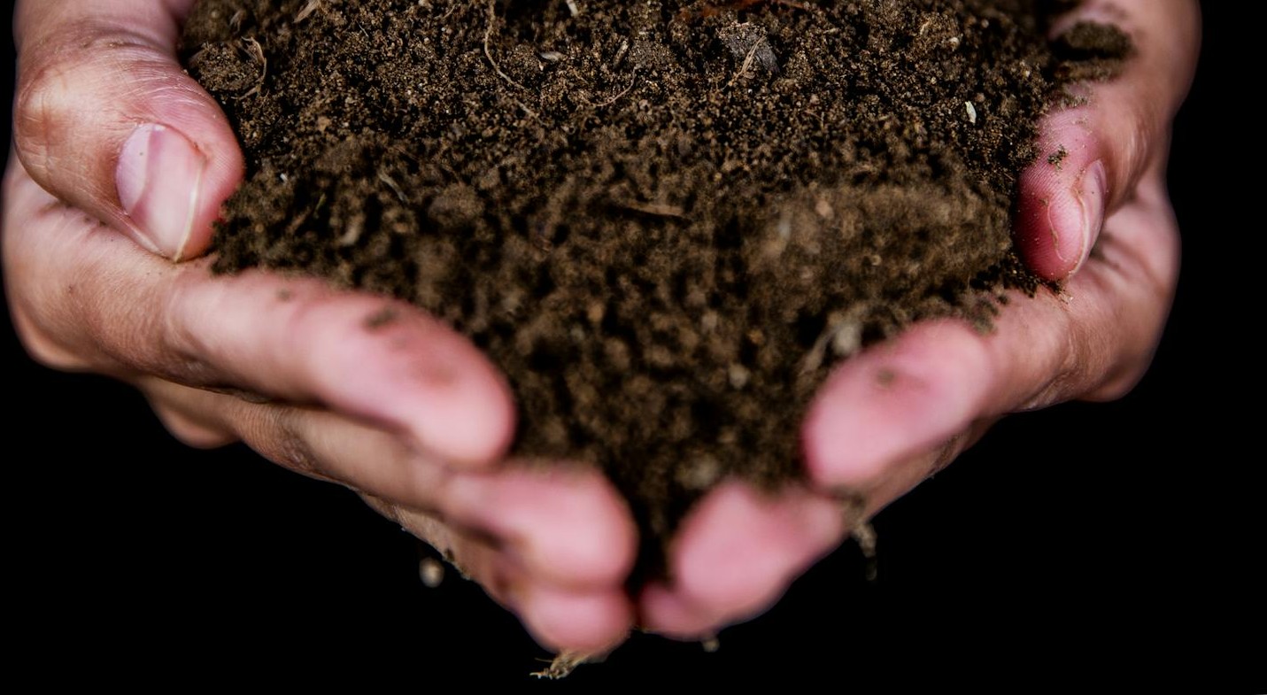 Una persona sujetando un puñado de tierra | Fuente: Pexels
