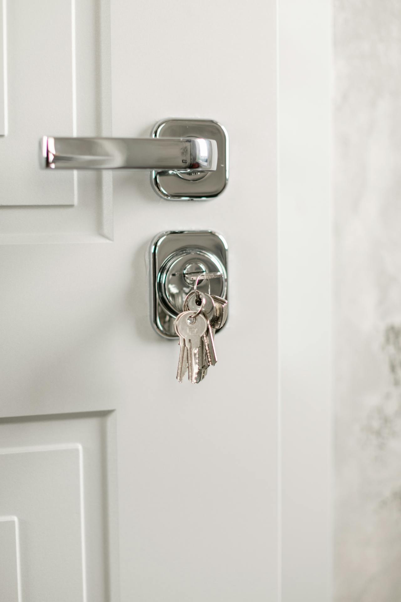 Una llave introducida en la cerradura de una puerta blanca | Fuente: Pexels