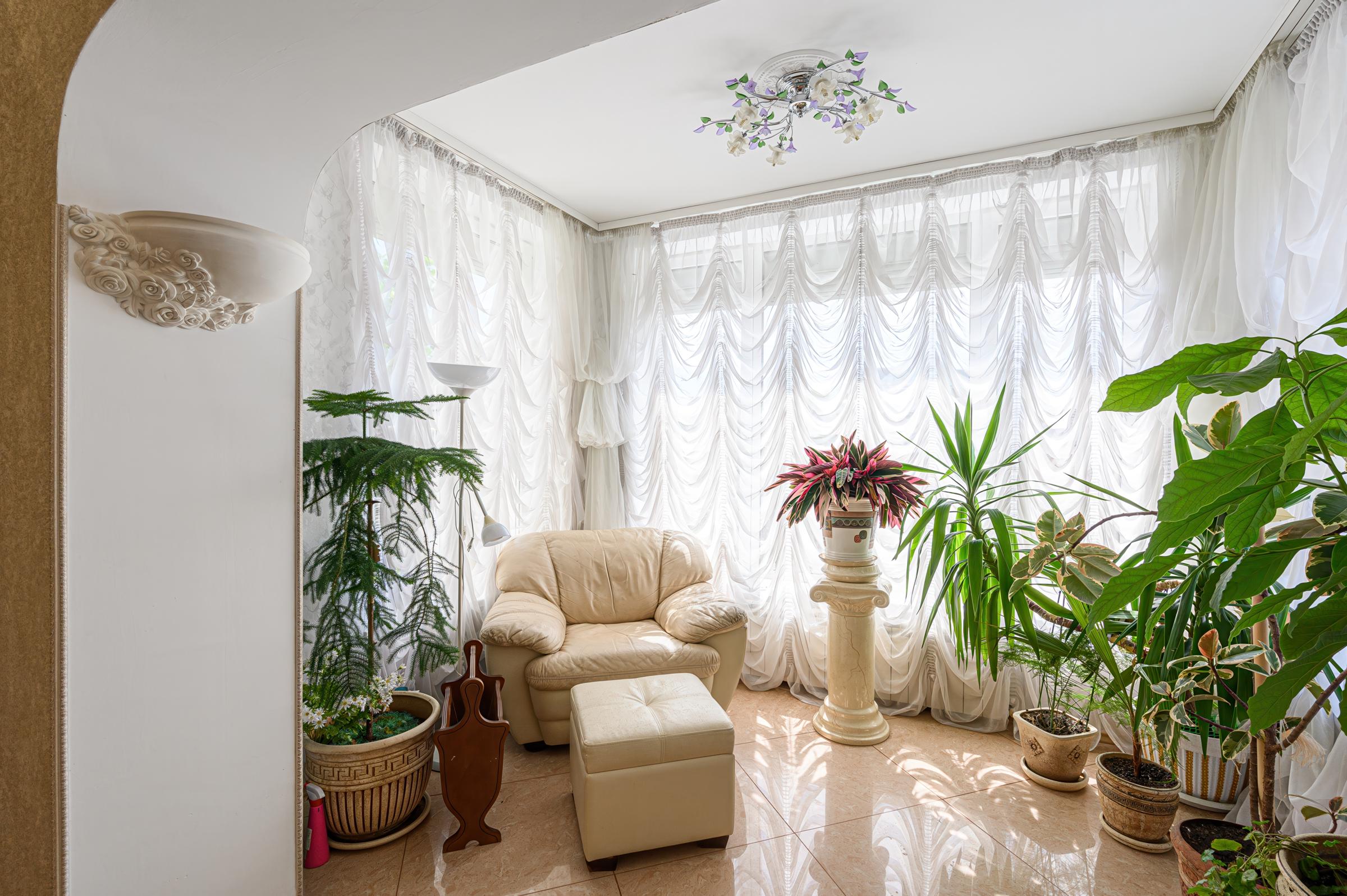 Acogedora habitación con sillón crema, otomana y muchas plantas en macetas | Fuente: Shutterstock