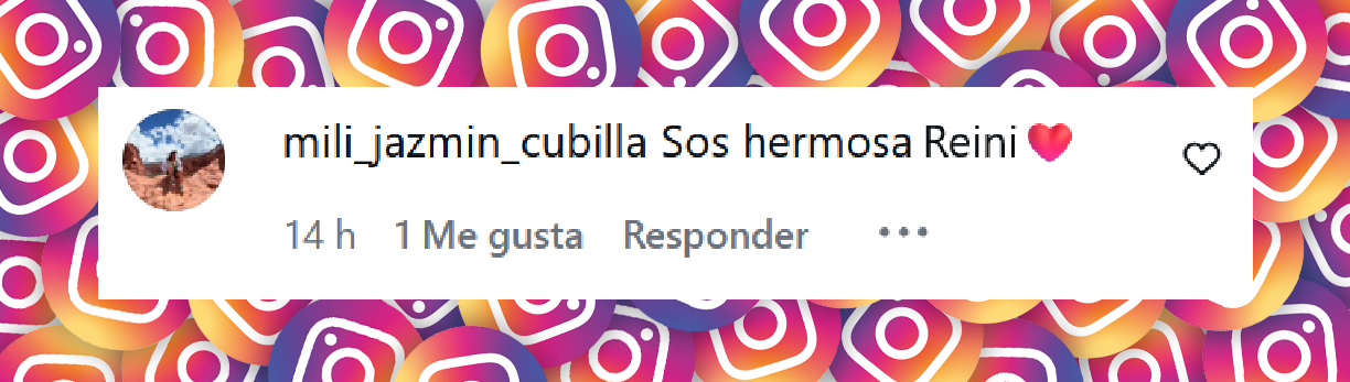 Comentario de una usuaria sobre el look de Sofía "La Reini" Gonet para la final de "MasterChef Celebrity" | Fuente: Instagram/sofiagonet