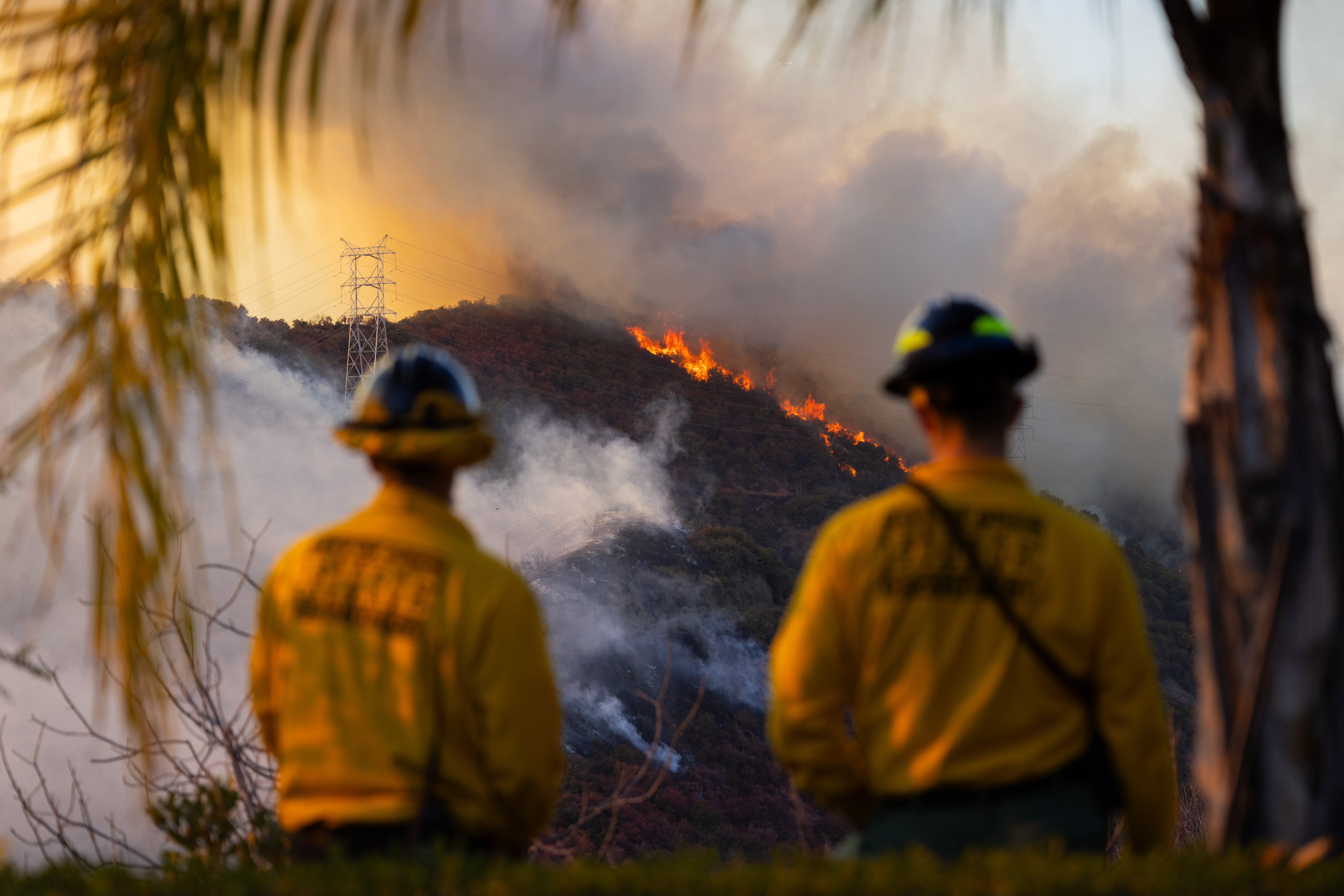 Bomberos de Orem, Utah, vigilan el incendio de Palisades, a lo largo del Cañón Mandeville en la comunidad de Brentwood de Los Ángeles, California, el 11 de enero de 2025 | Fuente: Getty Images