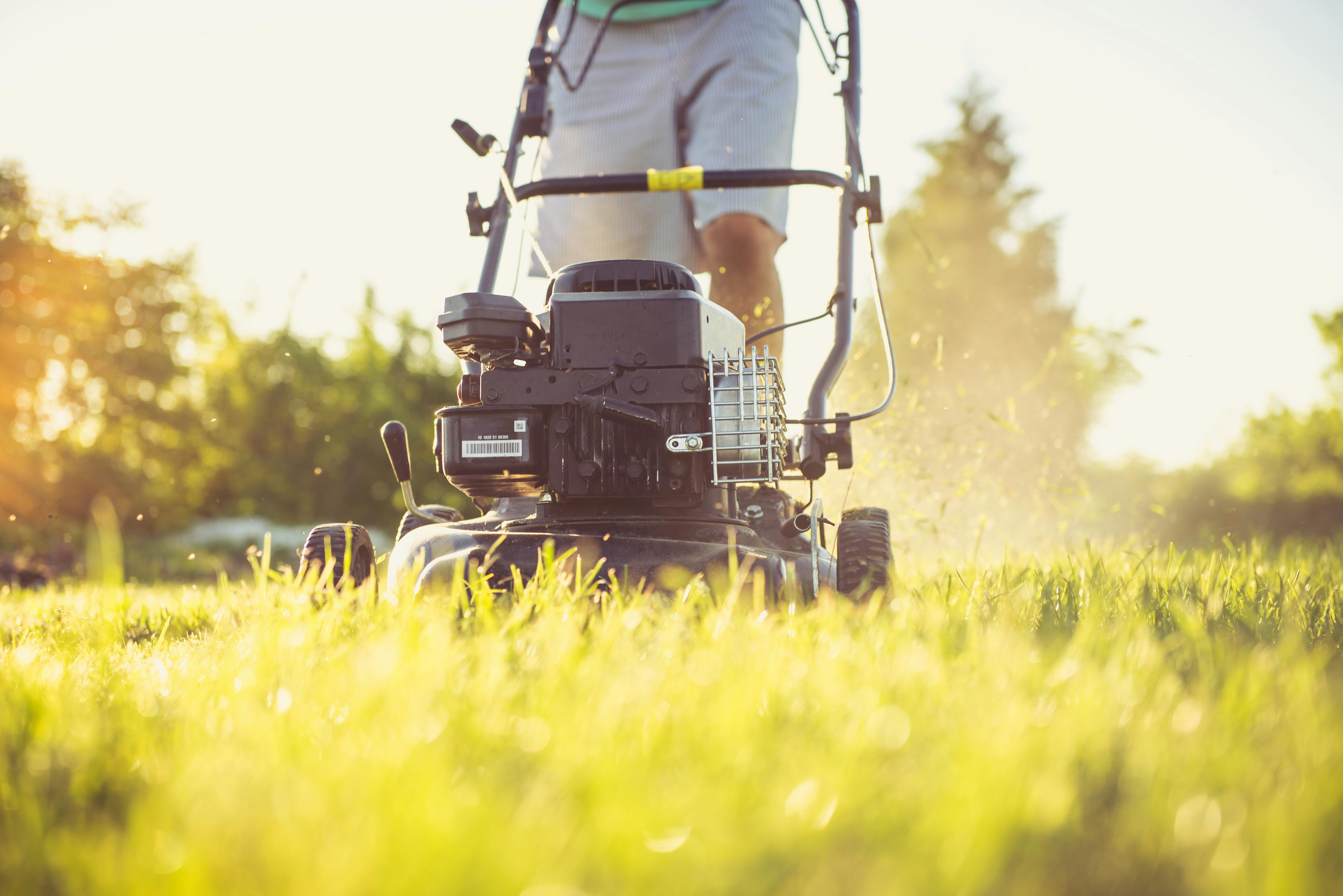 Cortando el césped | Fuente: Pexels