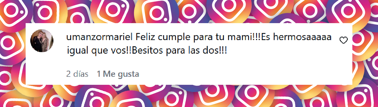 Comentario de una usuaria sobre las fotografías compartidas por Flavia Palmiero para celebrar el cumpleaños de su mamá, Yuly Laterra | Fuente: Instagram/flapalmiero