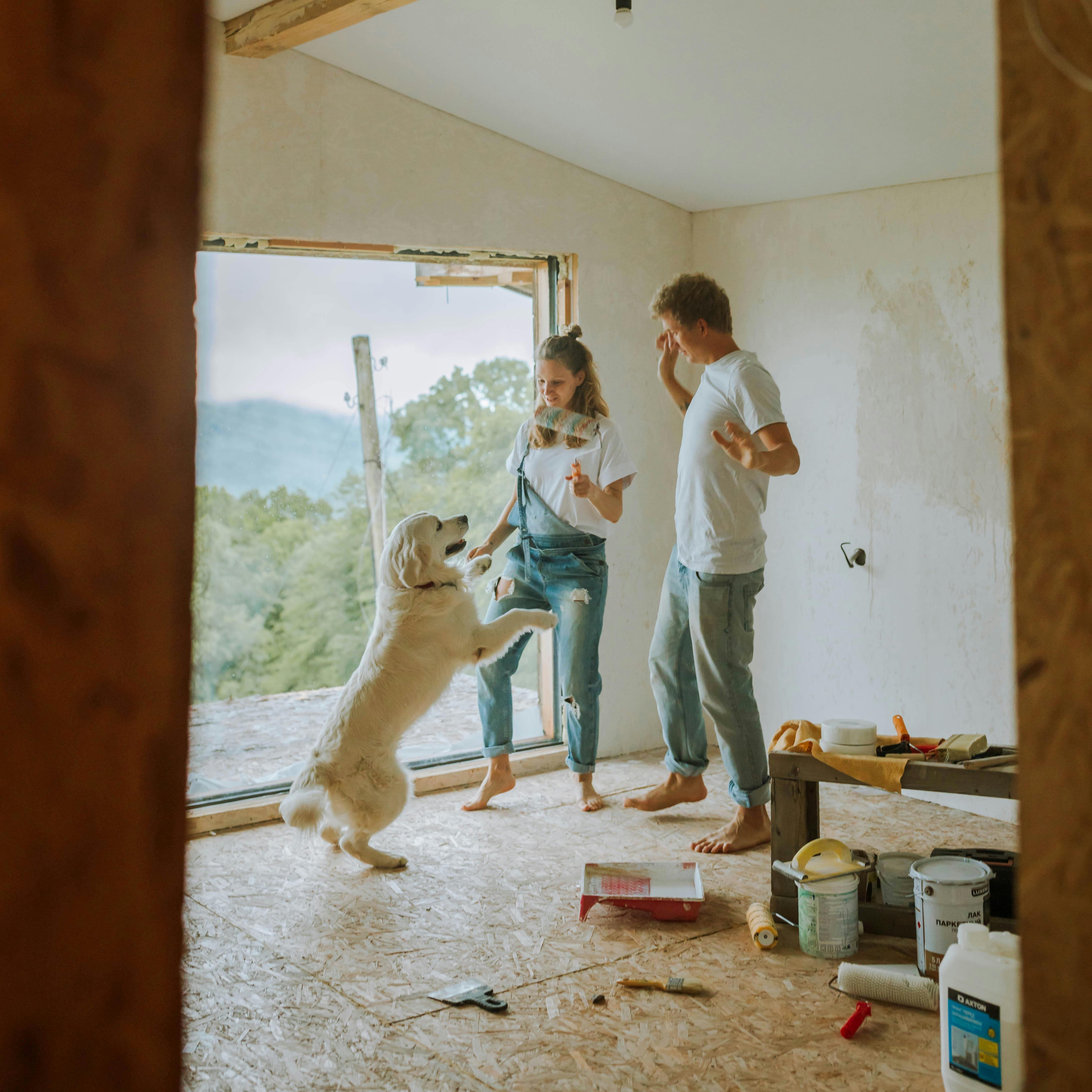 Una pareja y su perro renovando una habitación | Fuente: Pexels