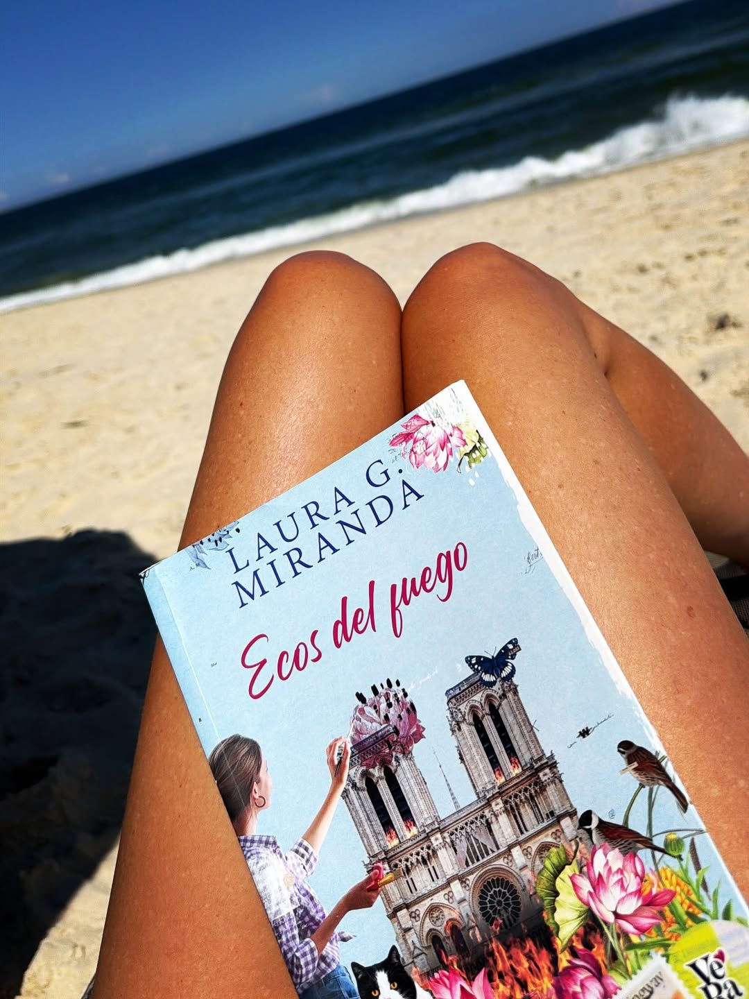 Isabel Macedo leyendo el libro "Ecos del fuego" de Laura G. Miranda mientras descansa bajo el sol en la playa, en Río de Janeiro, Brasil | Fuente: Instagram/ isabelmacedophoto