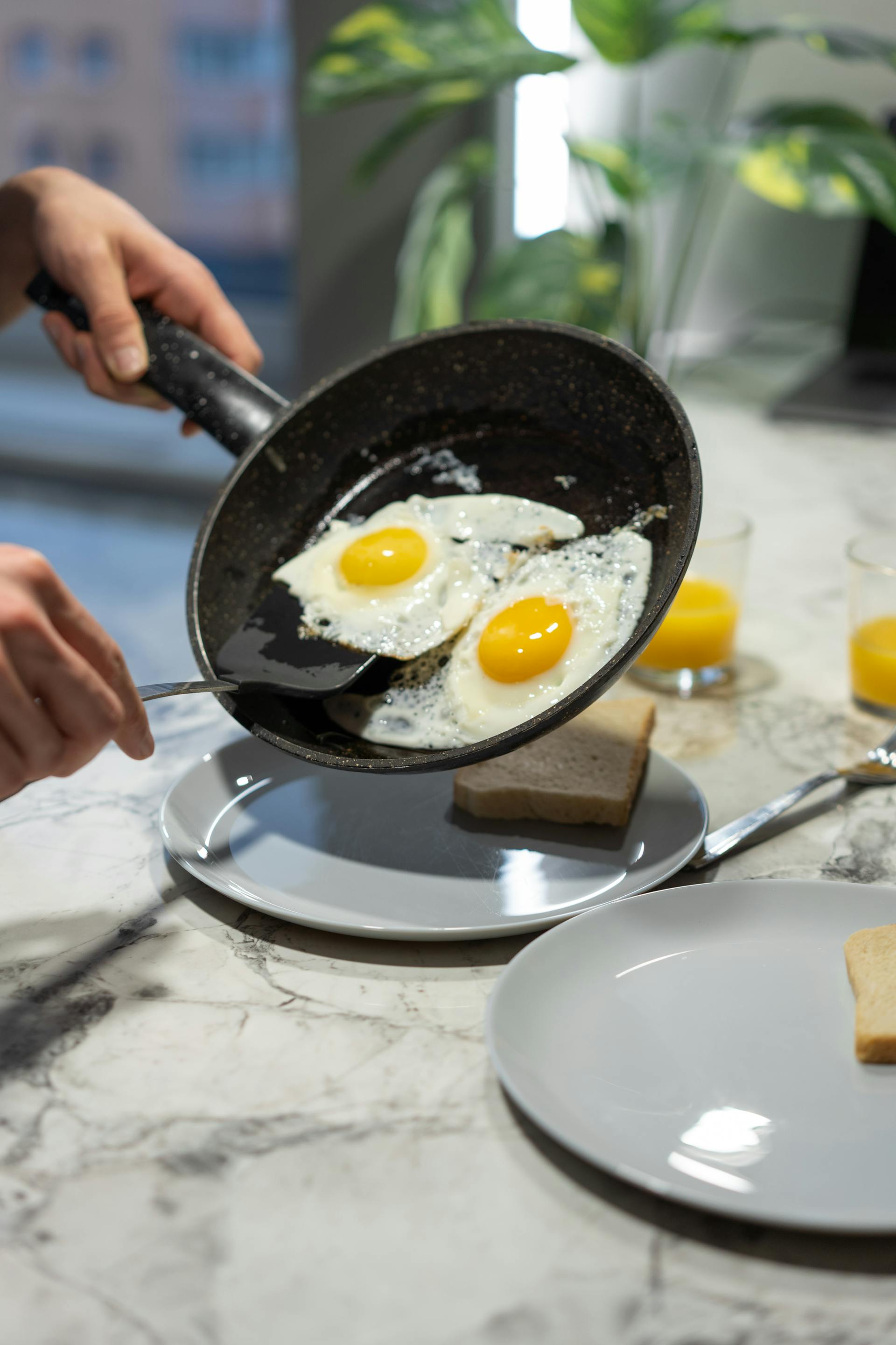 Una persona sostiene una sartén con huevos cocidos | Fuente: Pexels