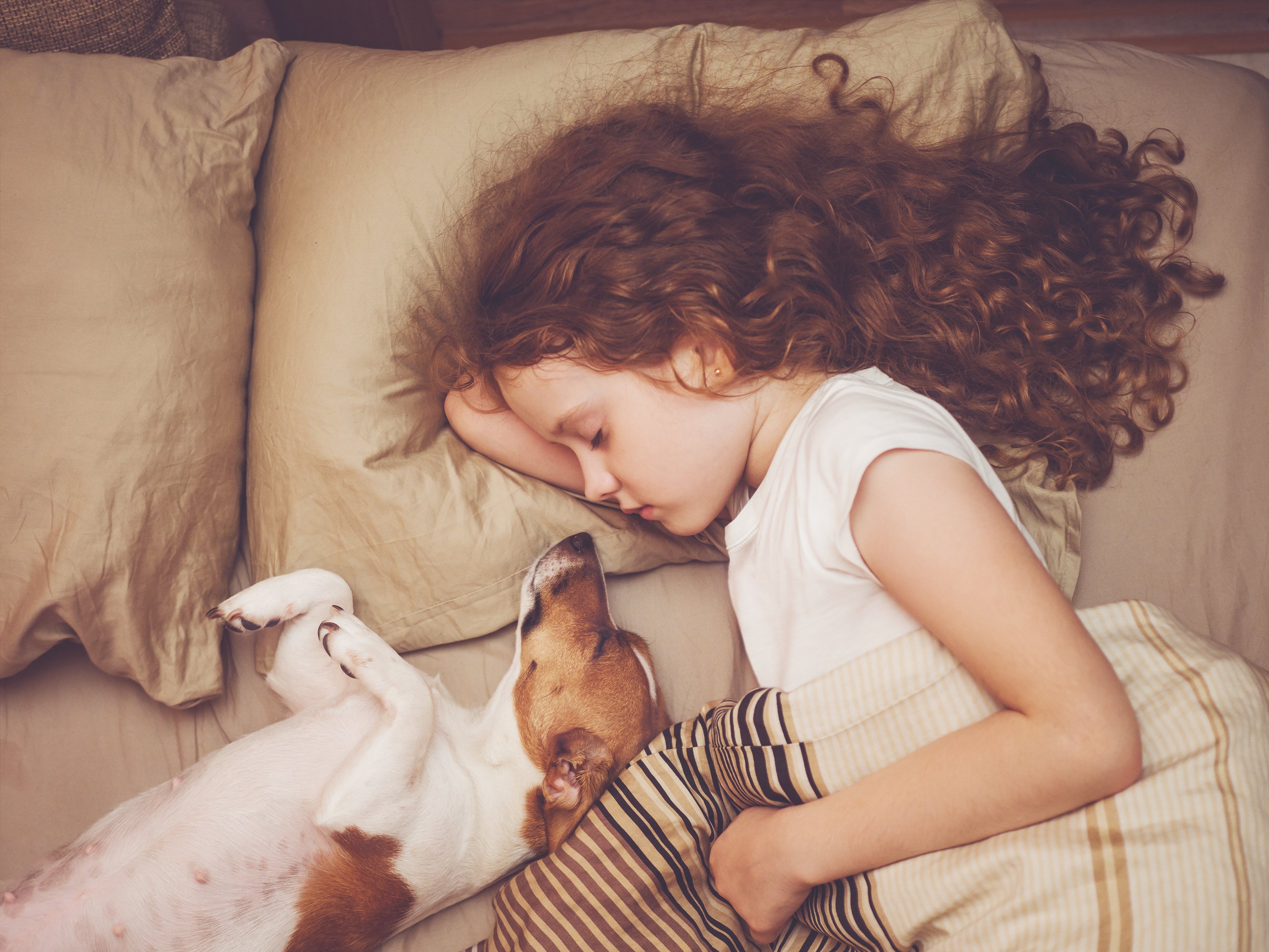 Niña con perro abrazada en la cama. Fuente: Shutterstock