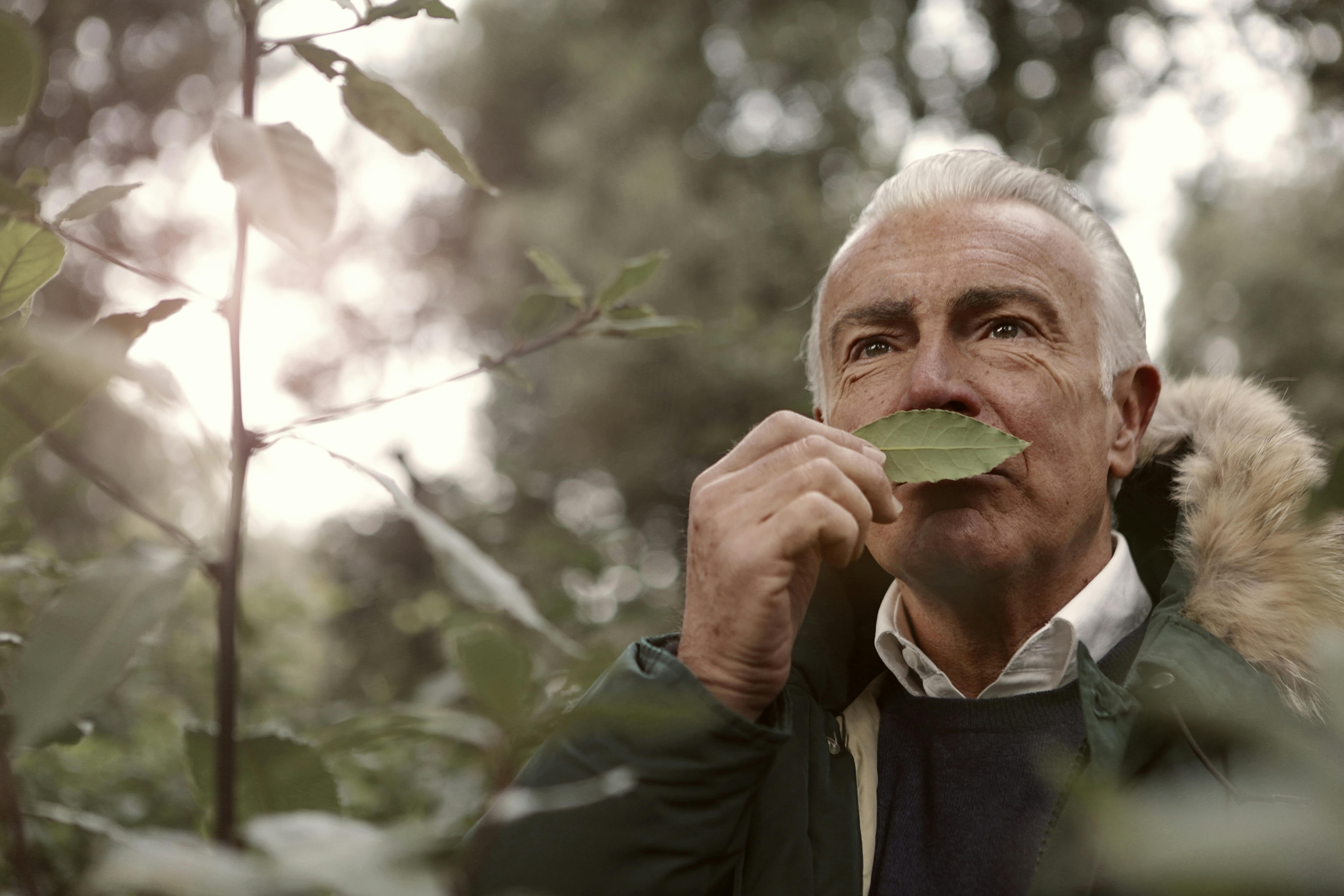 Un anciano olisqueando una hoja | Fuente: Pexels