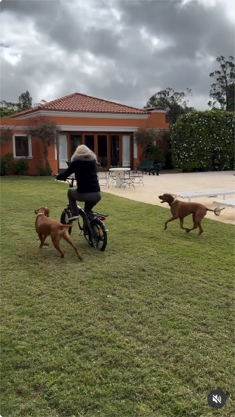 Susana Giménez durante un paseo en bicicleta en el jardín de su mansión junto a sus perritos | Fuente: Instagram/gimenezsuok