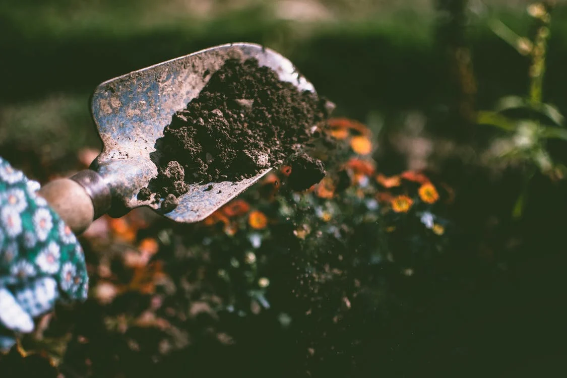 Tierra siendo excavada en un jardín. | Foto: Pexels