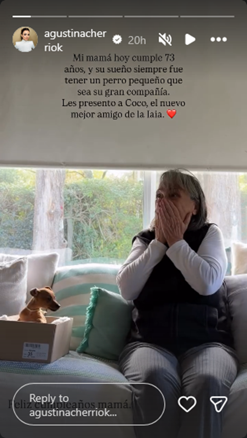 Agustina Cherri sorprendiendo a su madre, Silvia Bidueiros, con un regalo | Fuente: Instagram Stories/agustinacherriok