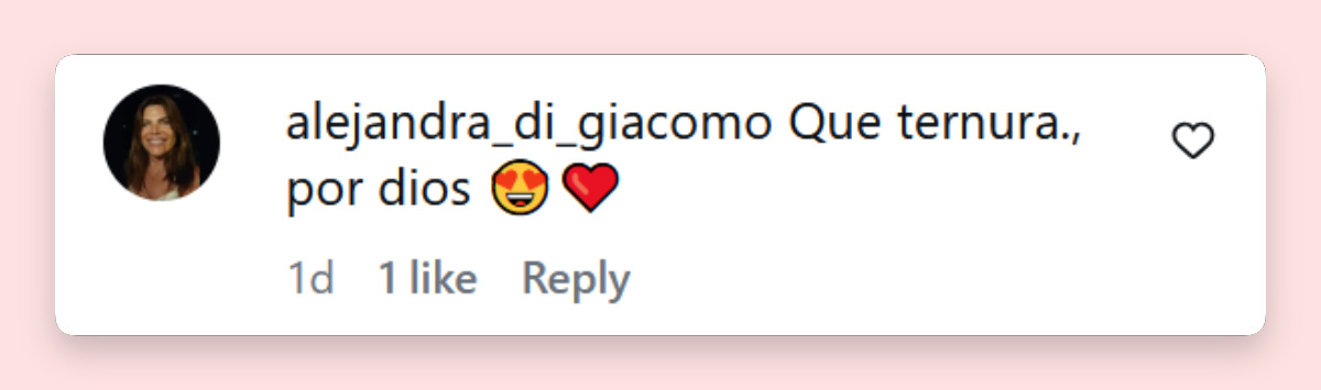 Comentario de una usuaria sobre las fotografías compartidas por Clara Darín donde muestra a su sobrino Dante | Fuente: Instagram/claradarin