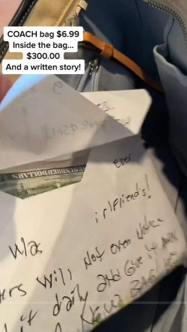 Lynora Silverman muestra el dinero que encontró en el bolso de Martha. | Foto: tiktok.com/@marthainfused