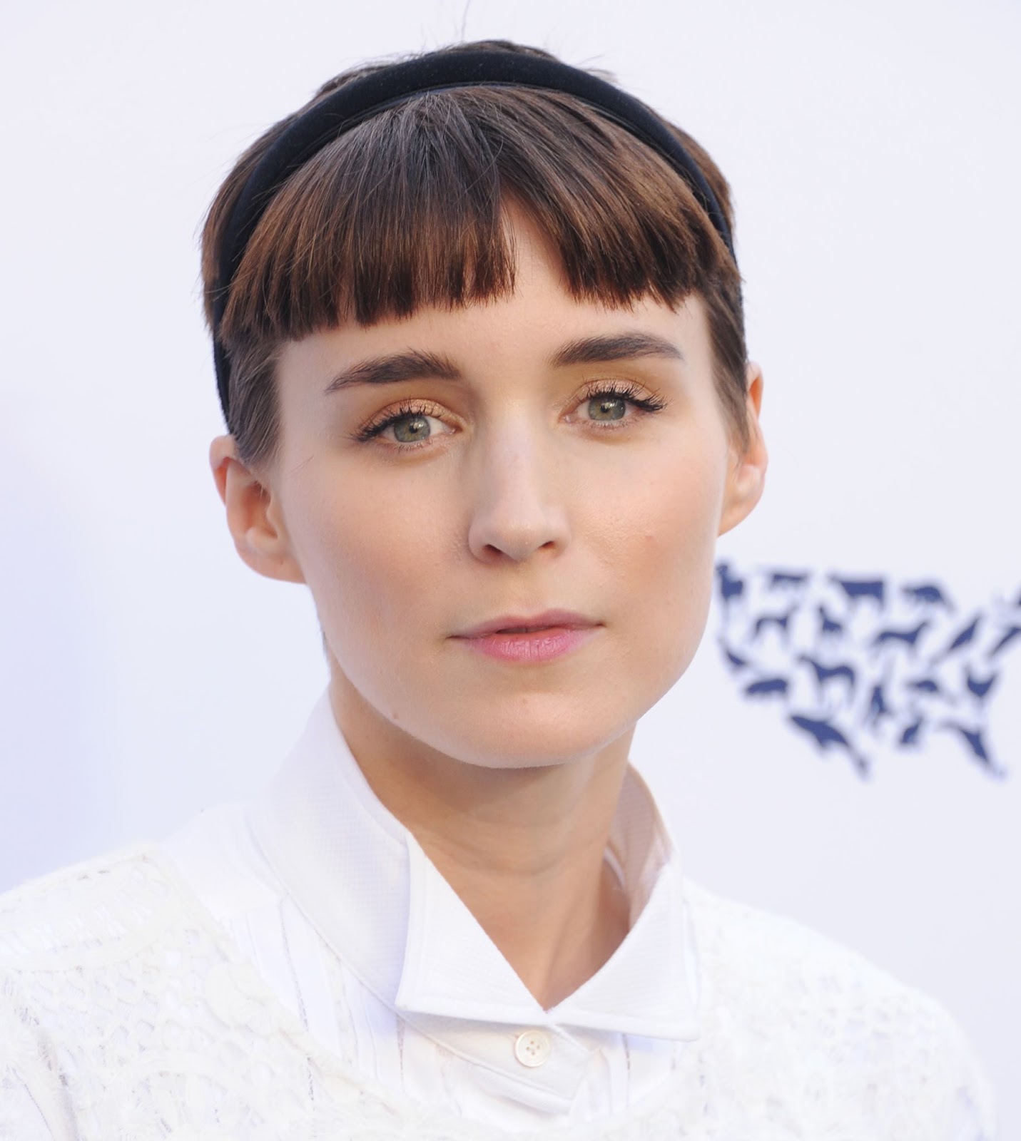 ¡Rooney Mara asistió a la gala benéfica anual To The Rescue! Los Angeles Benefit en 2017, reflejando su dedicación a los derechos de los animales y a las causas éticas que se alinean con sus valores personales | Fuente: Getty Images