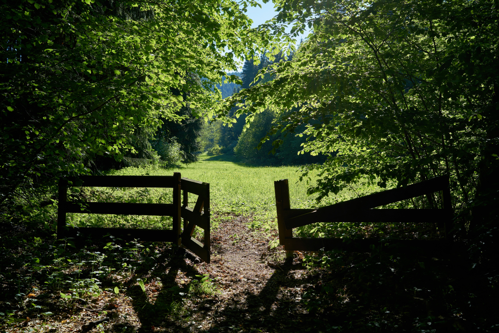 Puerta y pradera en una ruta de senderismo cerca de Forest | Fuente: Shutterstock.com