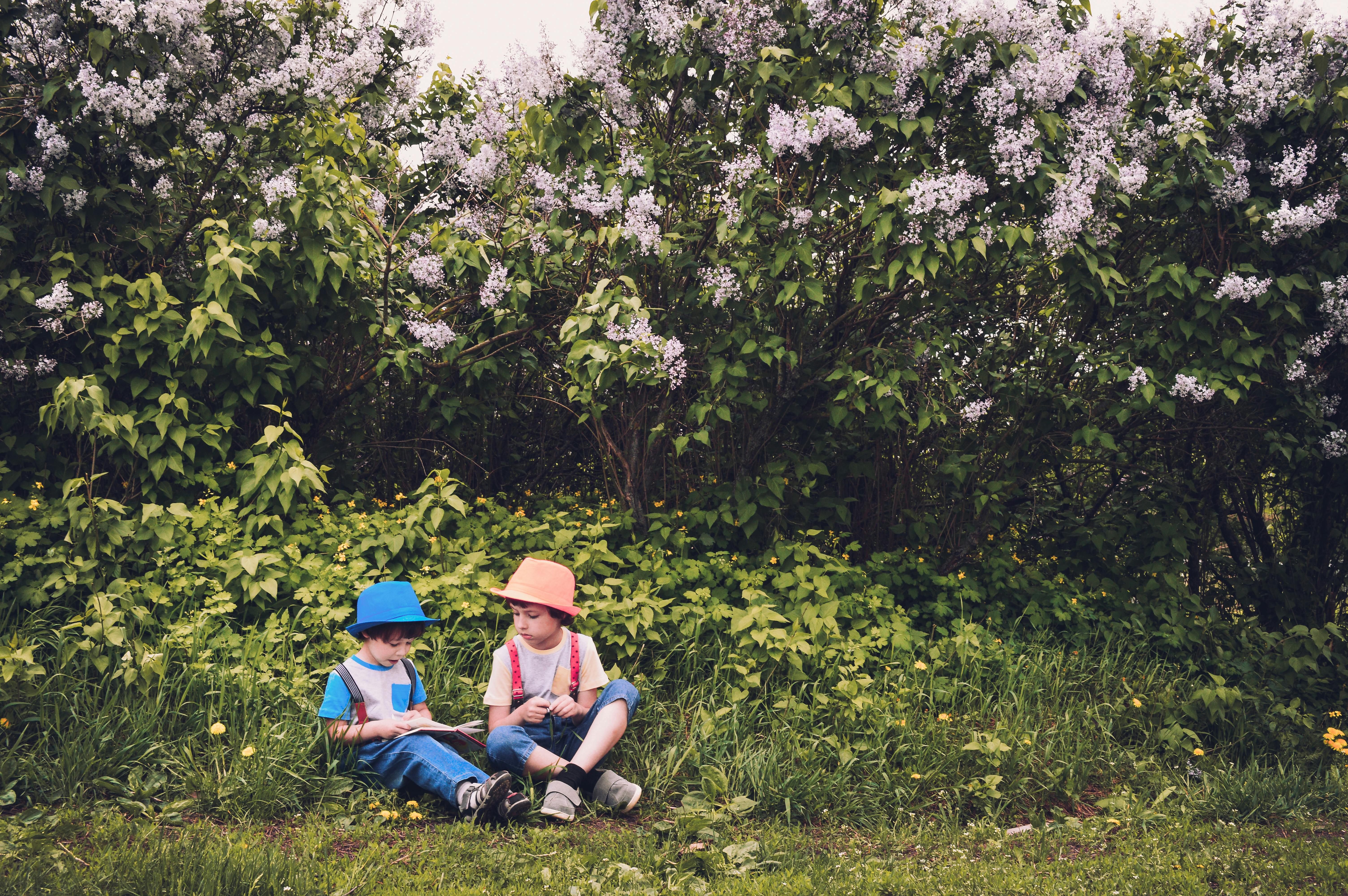 Niños jugando en el parque | Fuente: Pexels