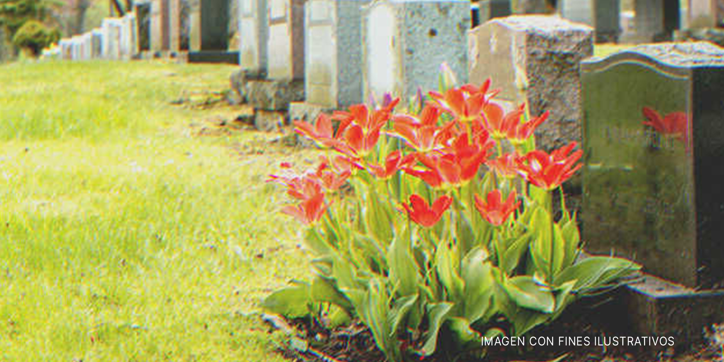 Flores sobre una tumba. | Foto: Shutterstock