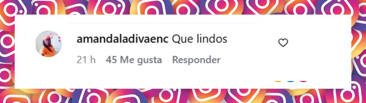 Comentario de una usuaria | Fuente: Instagram/elgordoylaflaca