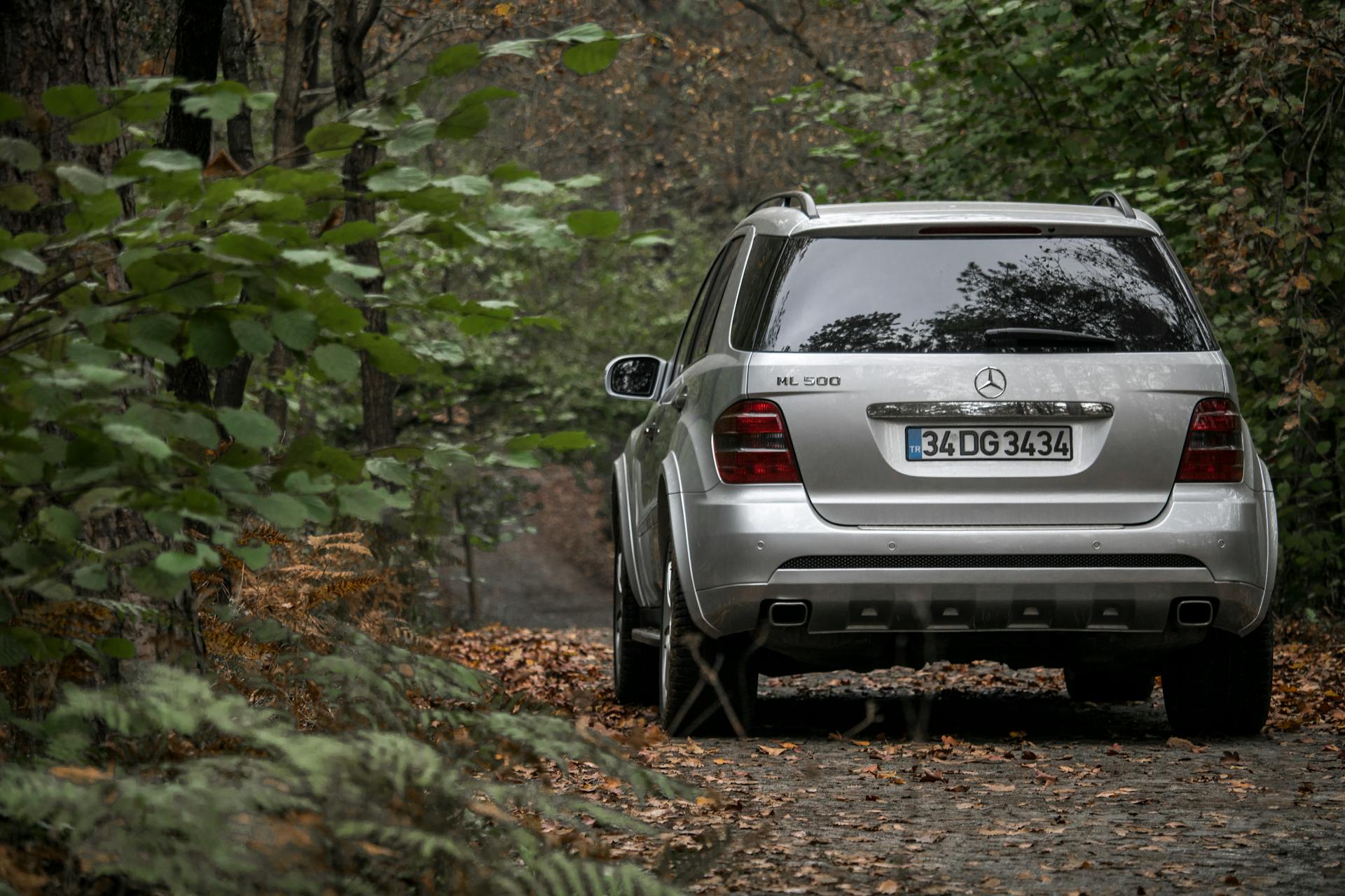 Un automóvil aparcado en un bosque | Fuente: Pexels