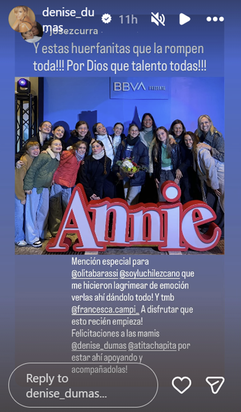 Denise Dumas compartió una fotografía de su hija junto al elenco de la obra musical "Annie" | Fuente: Instagram Stories/denise_dumas