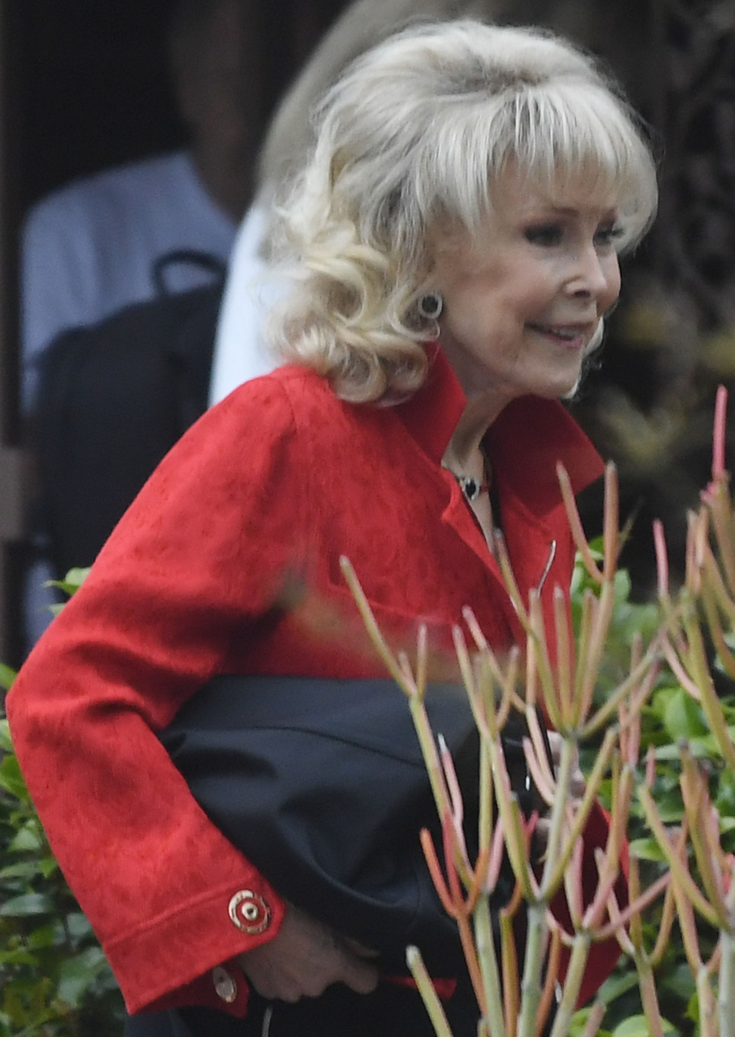 Barbara Eden lleva su bolso el 23 de mayo de 2024, en Los Ángeles, California. | Fuente: Getty Images