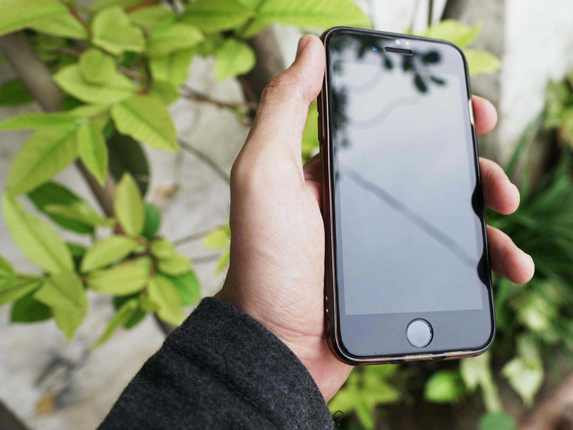 Un hombre sujetando su teléfono | Fuente: Pexels