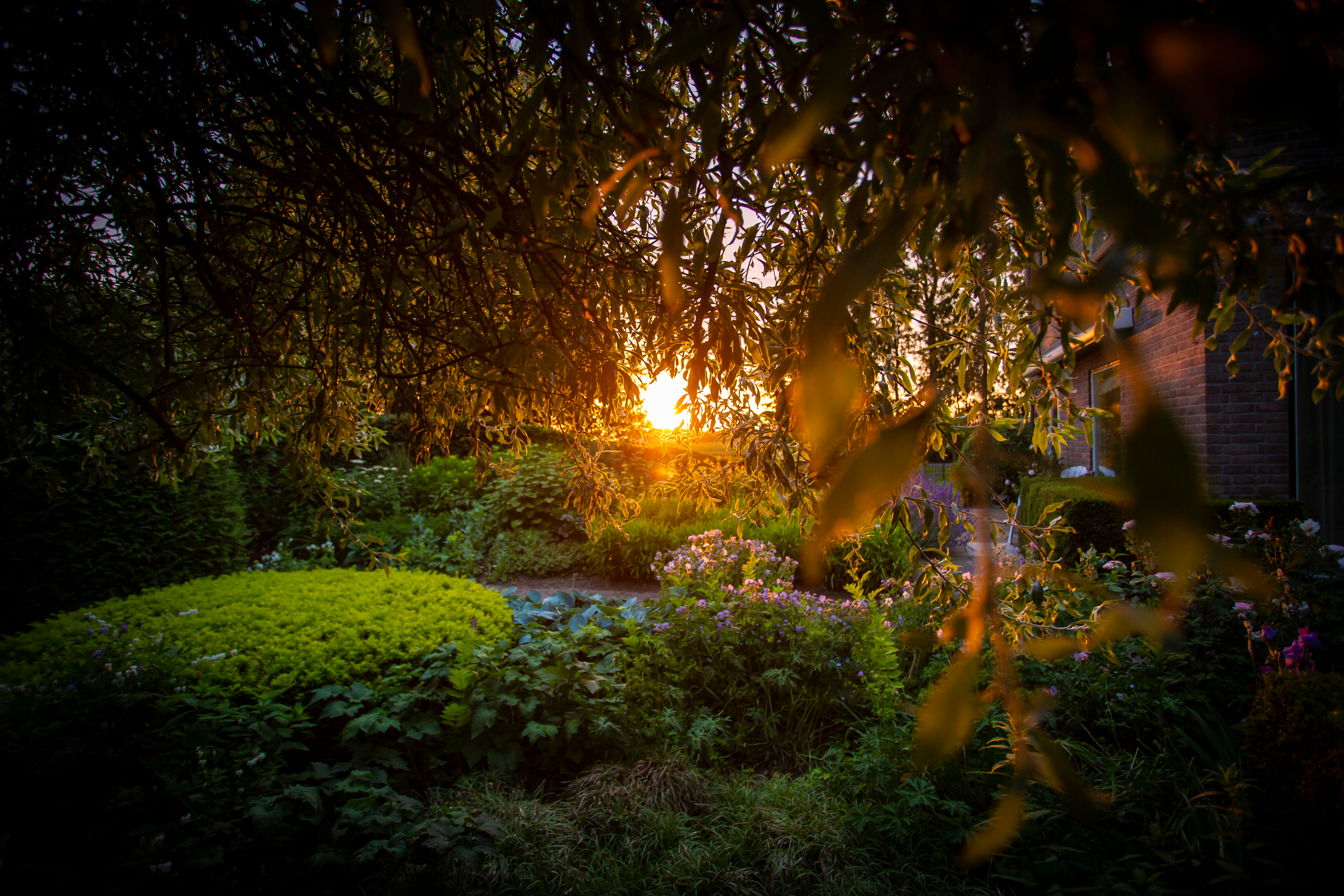 Jardín - Vista horizontal | Fuente: Shutterstock