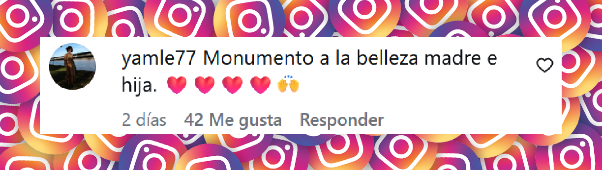 Comentario de una usuaria sobre las fotos de Nicole Neumann junto a su hija Allegra Cubero | Fuente: Instagram/cubero.allegra
