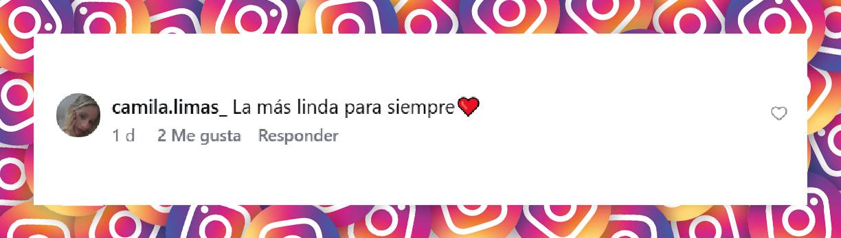 Comentario de una usuaria | Fuente: Instagram/luisanalopilato