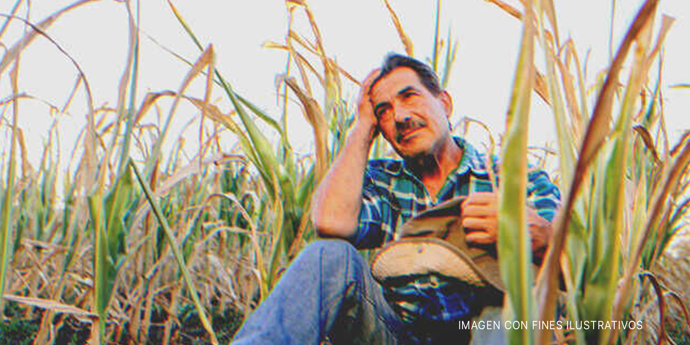Granjero sentado en una granja | Foto: Shutterstock