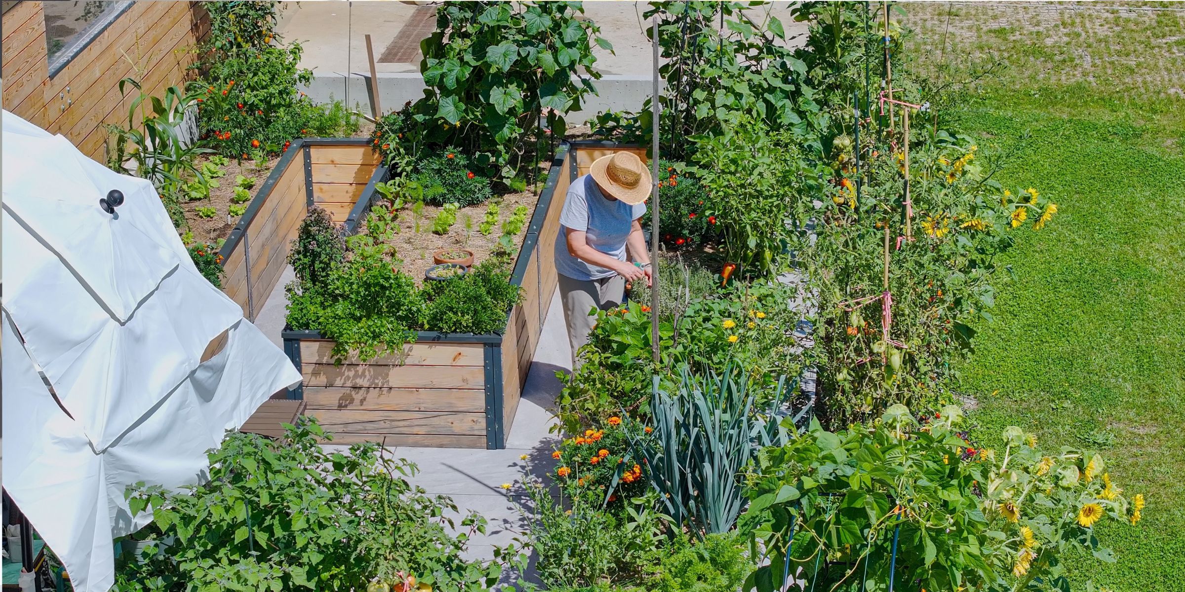 Una giardiniera anziana che lavora nel suo rigoglioso orto rialzato in una soleggiata giornata estiva | Fonte: Shutterstock