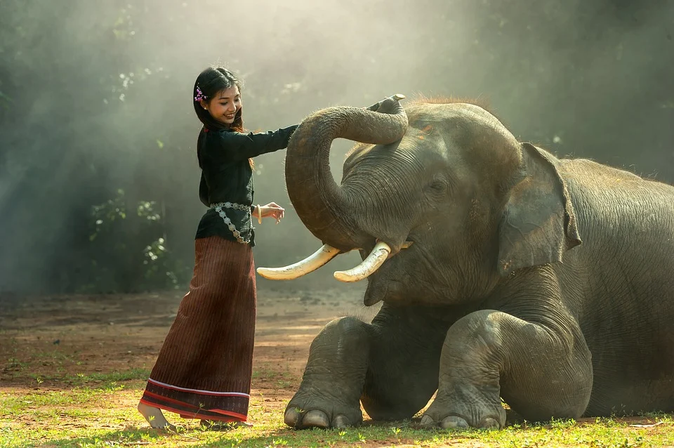 Niña asiática comparte con un elefante. | Foto: Pixabay