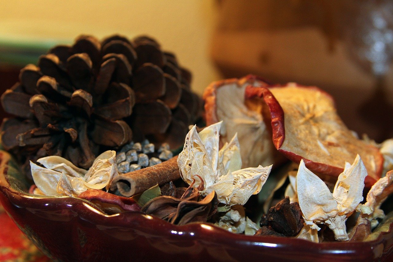 Hojas aromáticas y conos de pino en un tazón. | Foto: Pixabay