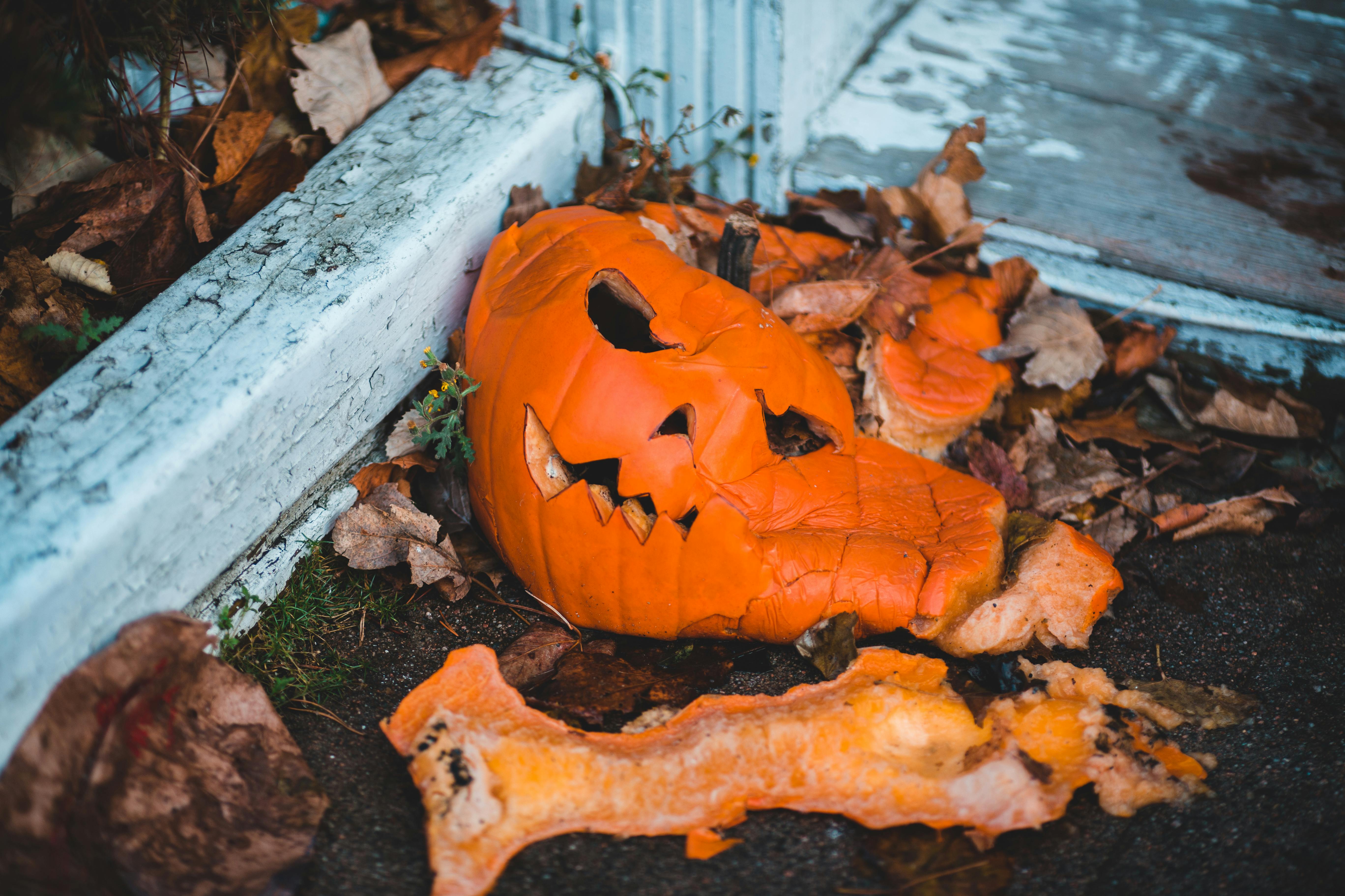 Una calabaza aplastada | Fuente: Pexels