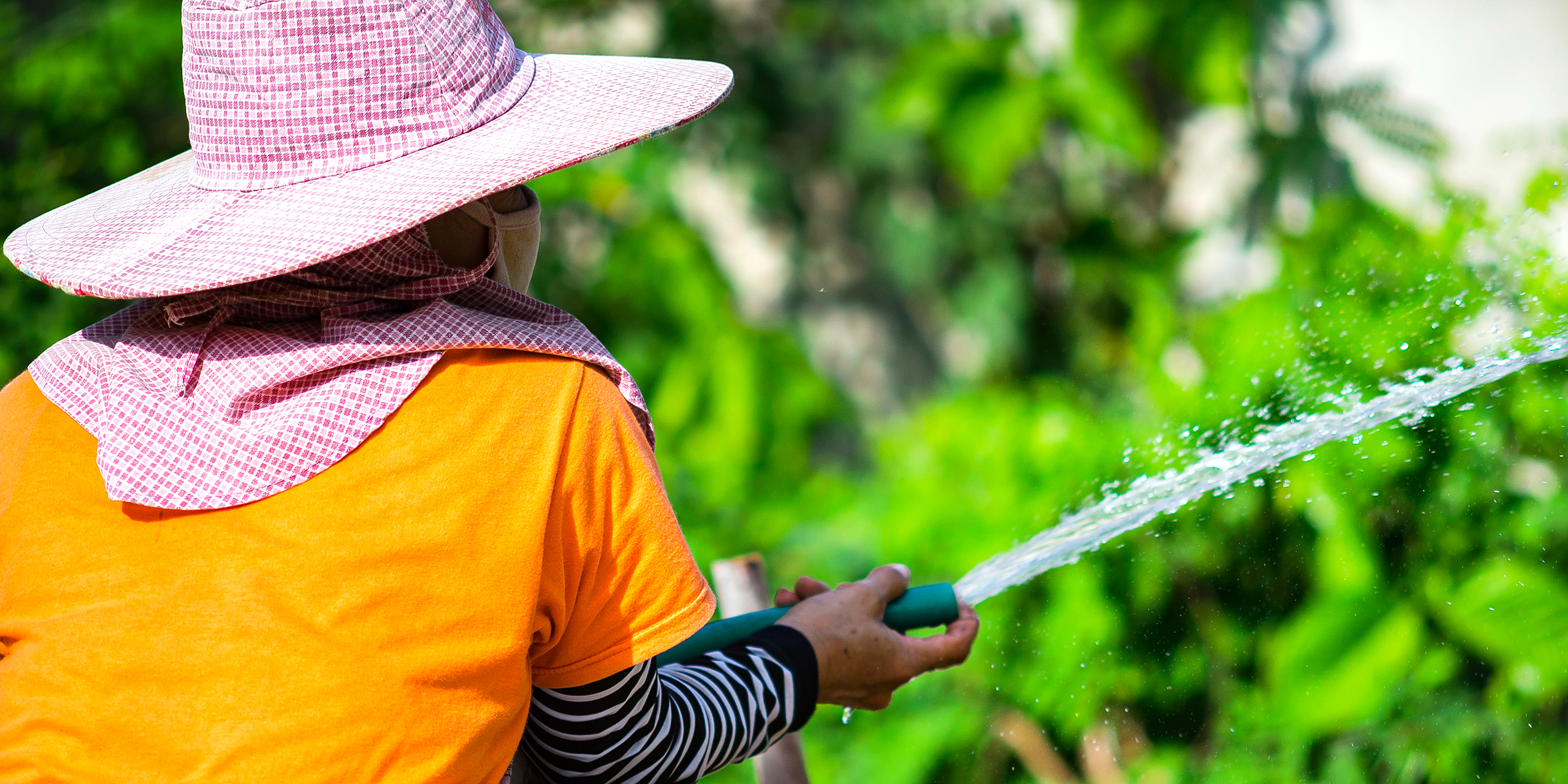 Una mujer riega su jardín con una manguera | Fuente: Shutterstock