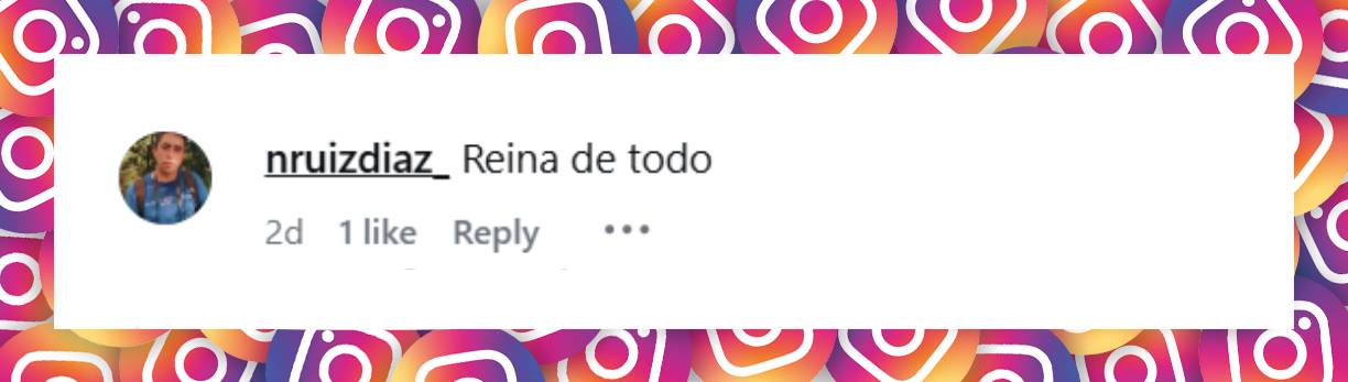 Comentario de un usuario | Fuente: Instagram/isabelmacedophoto