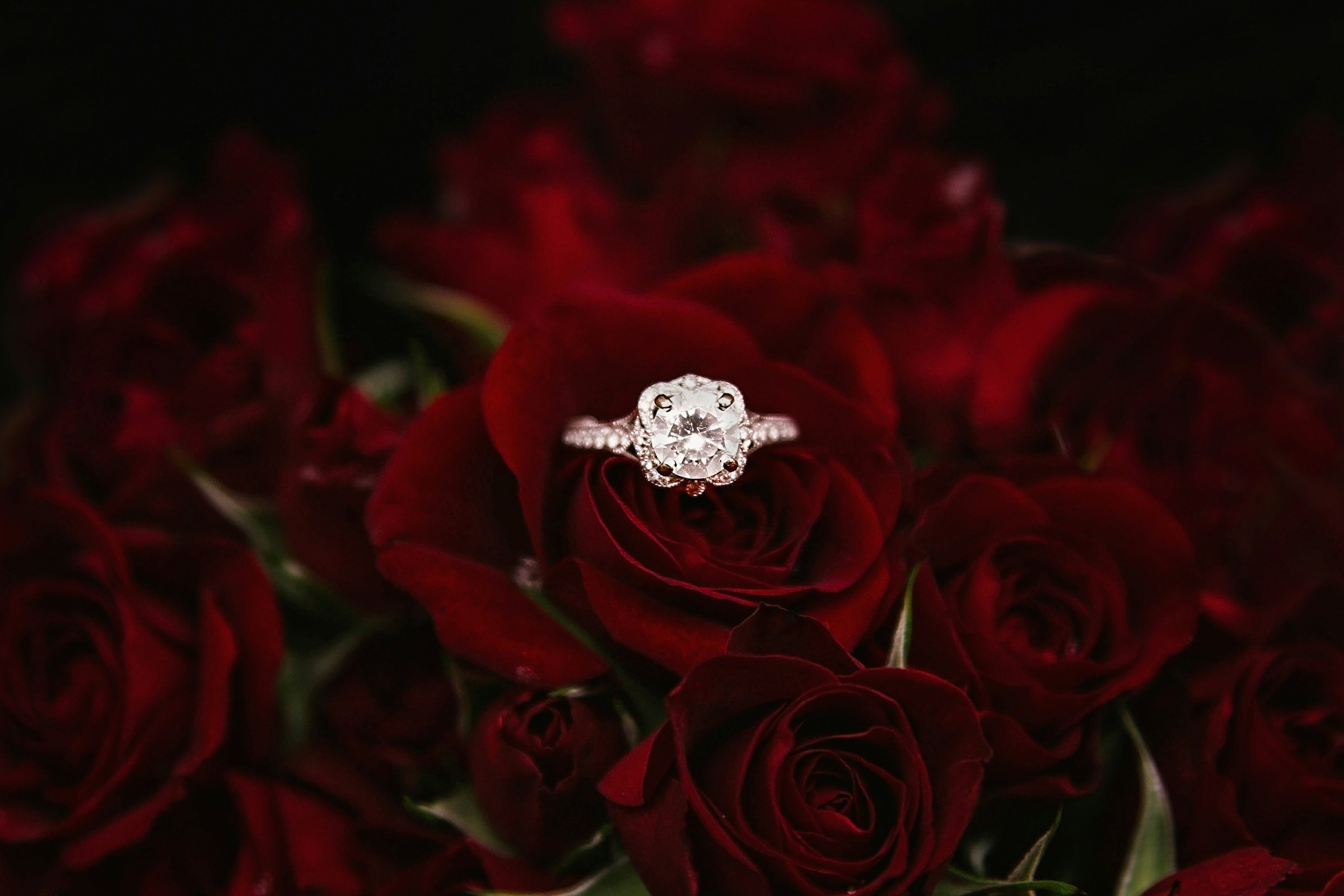 Un anillo de compromiso con rosas rojas | Fuente: Unsplash