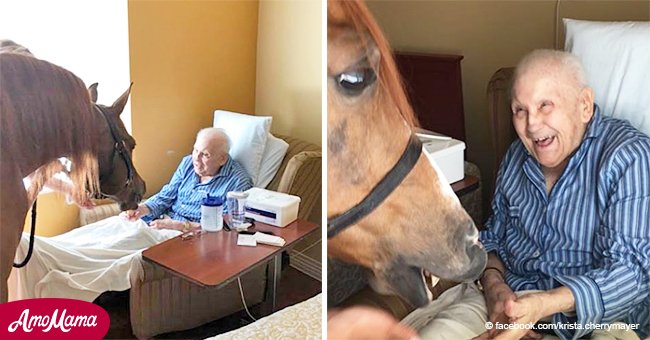 Residentes de ancianato estallaron en sonrisas tras visita de un animal de terapia muy especial