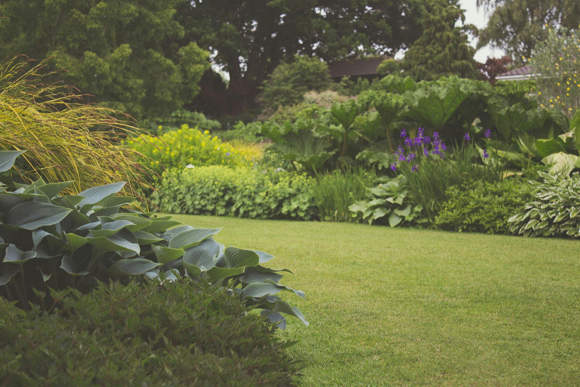 Un jardín bien cuidado | Fuente: Pexels