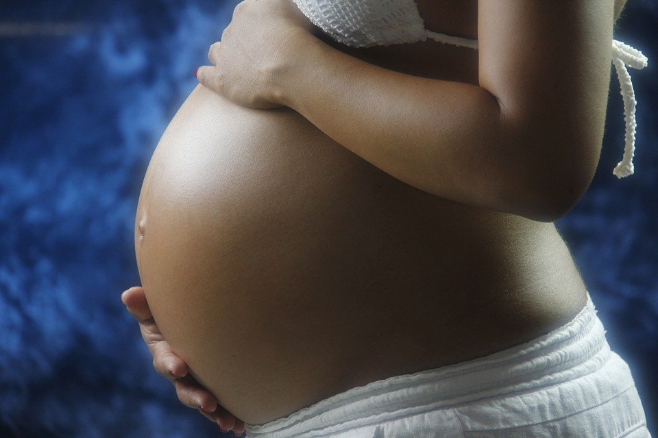 Mujer embarazada │Imagen tomada de: Pixabay