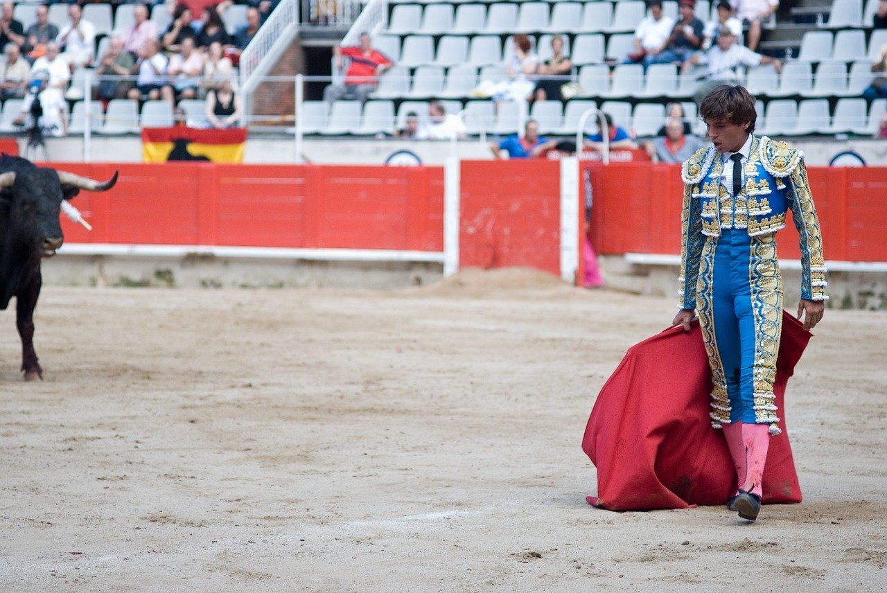 Toro y torero. | Foto: Pixabay