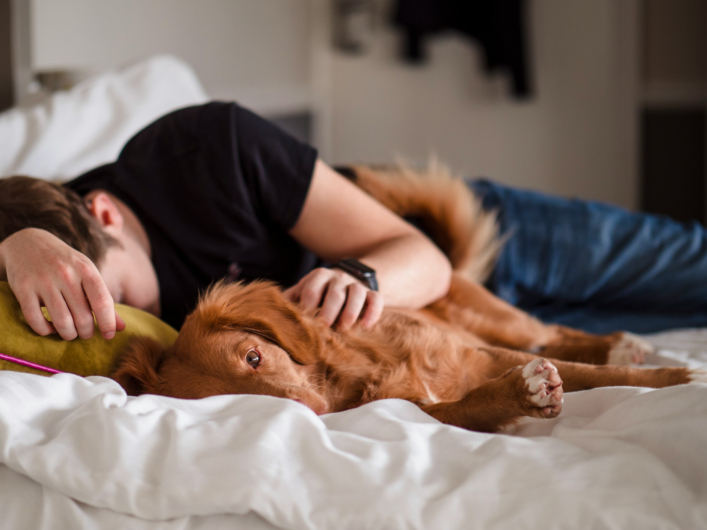 Un hombre durmiendo junto a un perro | Fuente: Unsplash