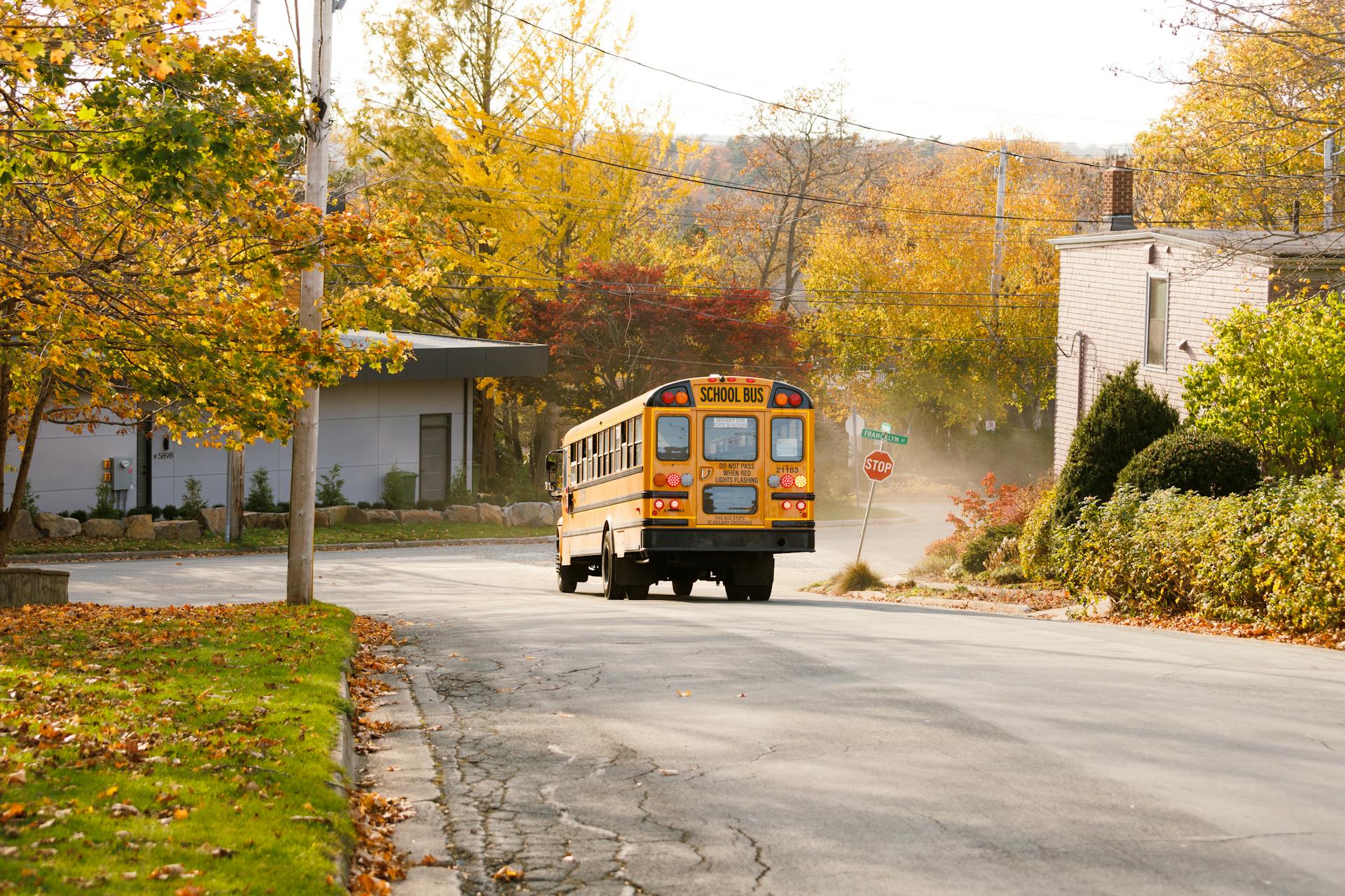 Un autobús escolar circulando por un suburbio | Fuente: Pexels