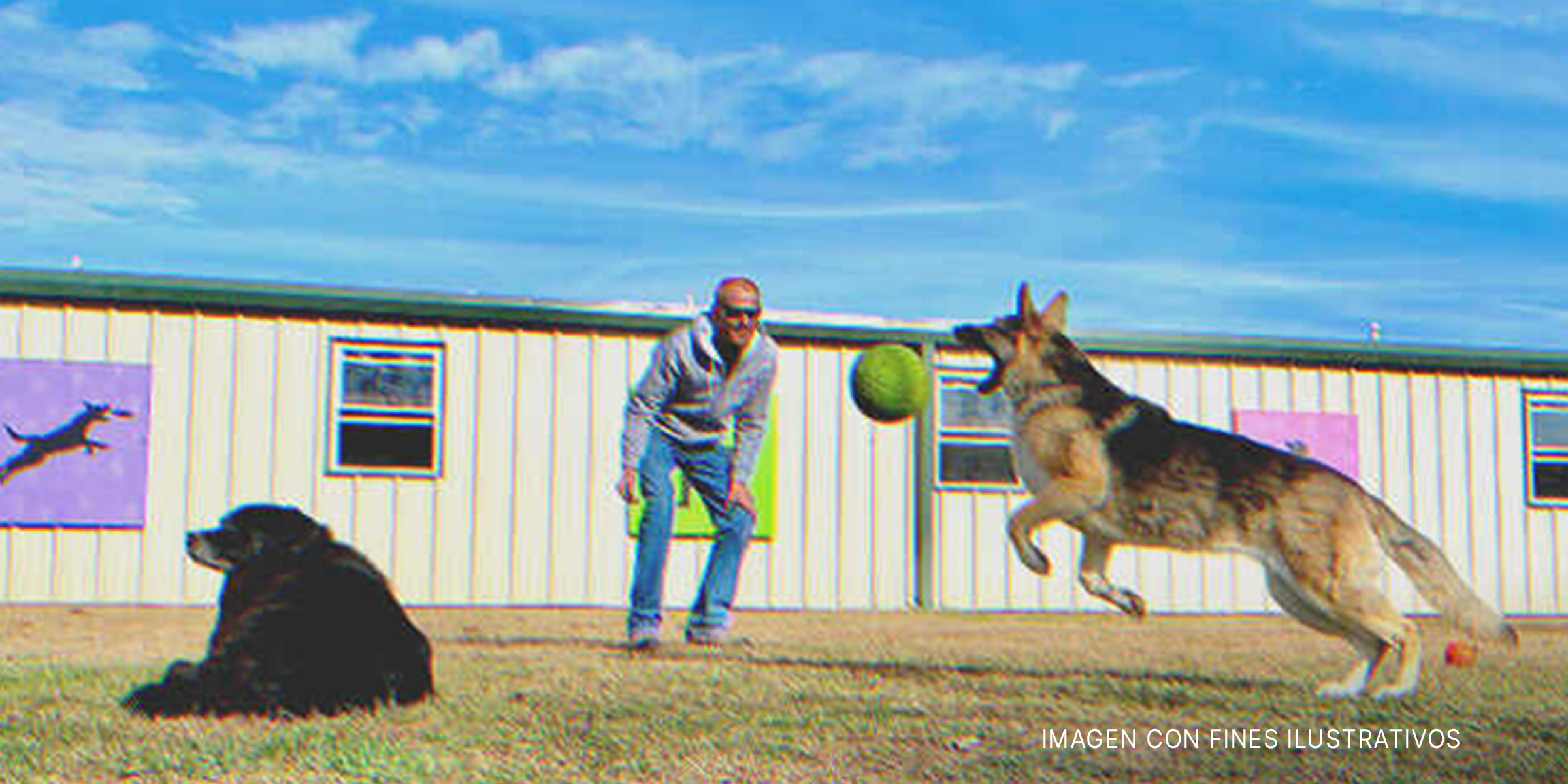 Hombre juega con sus perros | Foto: Shutterstock