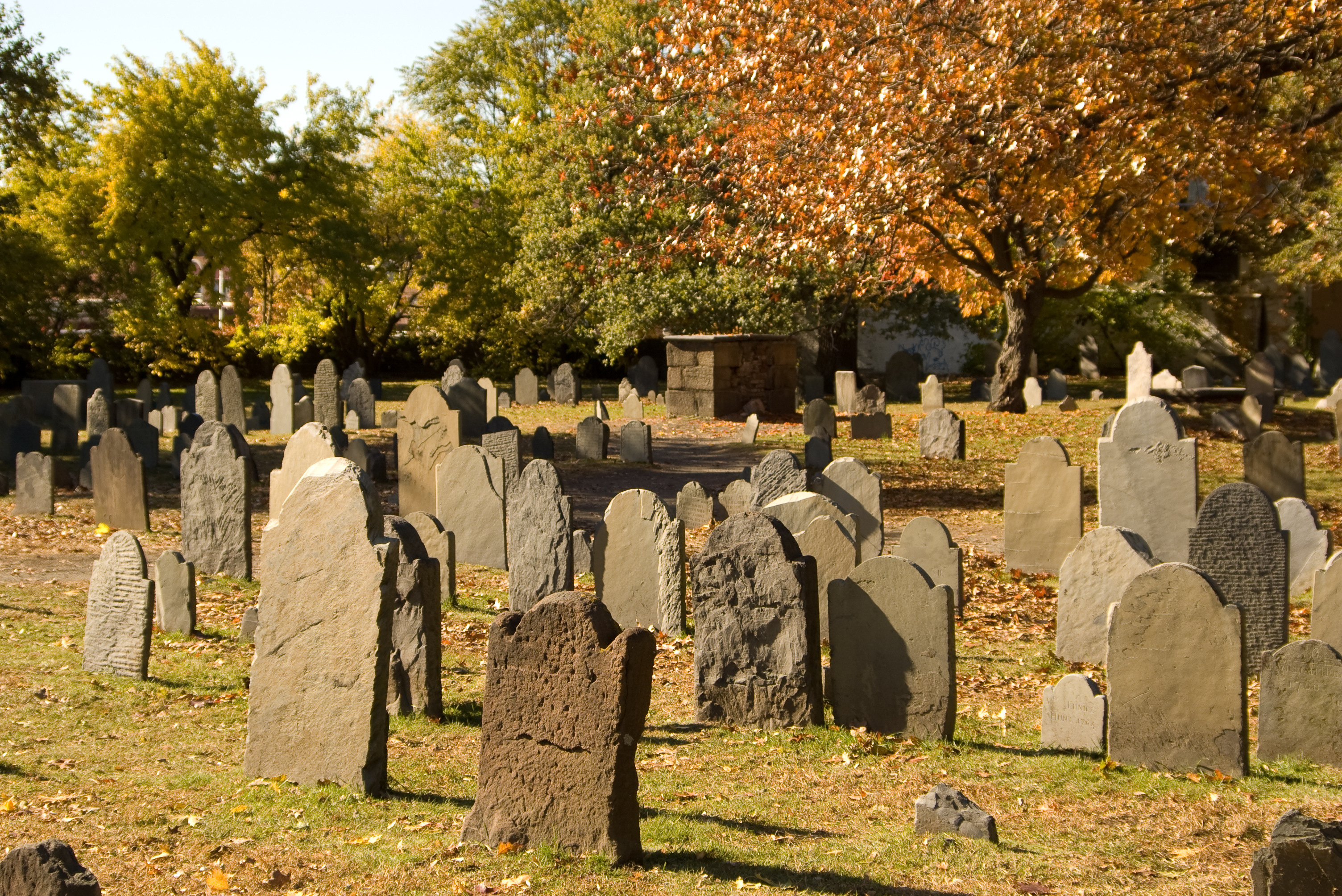 Cementerio | Fuente: Getty Images