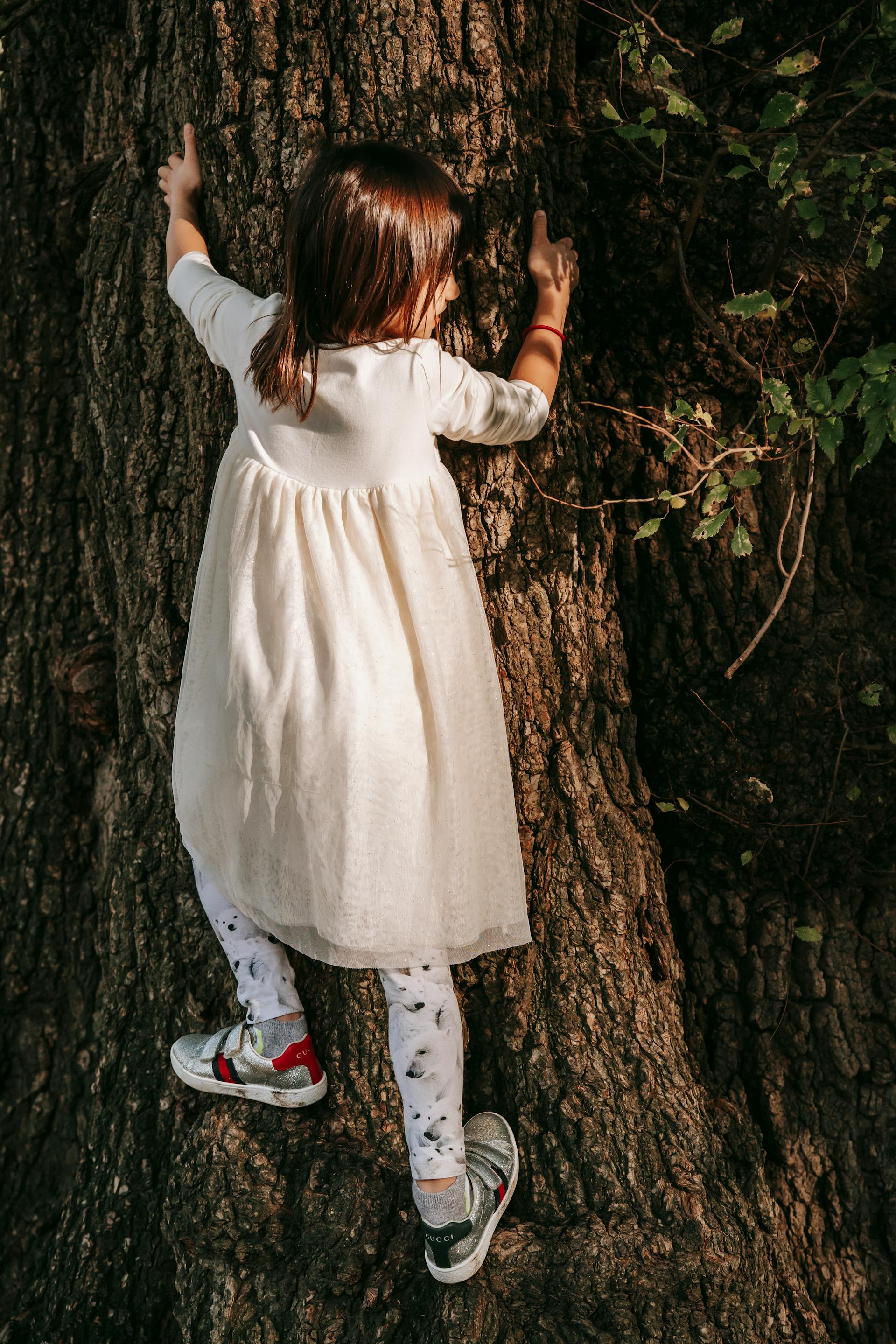 Una niña trepando a un árbol | Fuente: Pexels