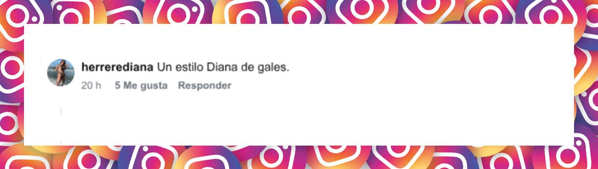 Comentario de una usuaria | Fuente: Instagram/javierceriani