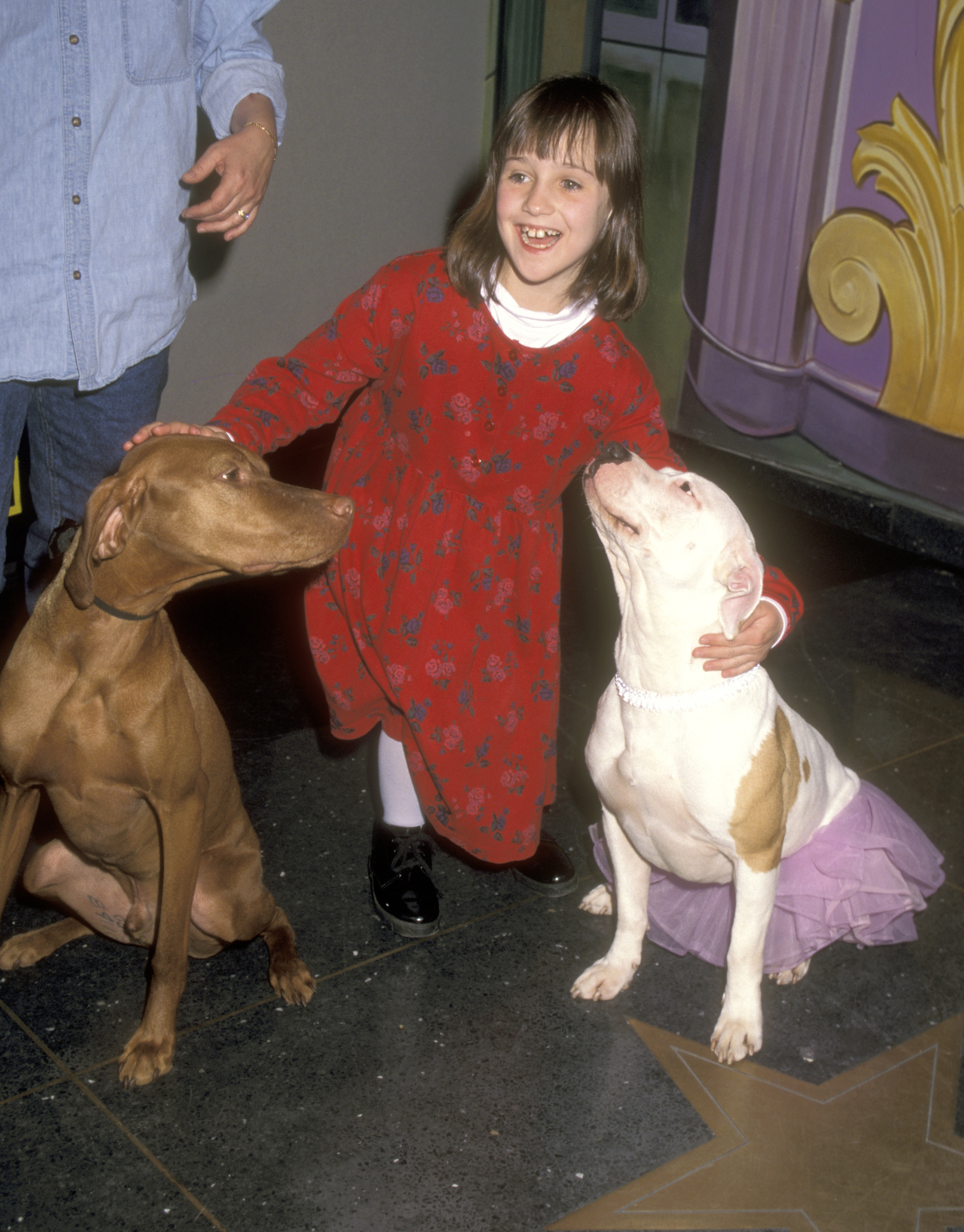 Mara Wilson asiste al M&M's Candies Hollywood for Children Family Film Festival en el Sony IMAX Theater el 8 de abril de 1996 en Nueva York. | Fuente: Getty Images